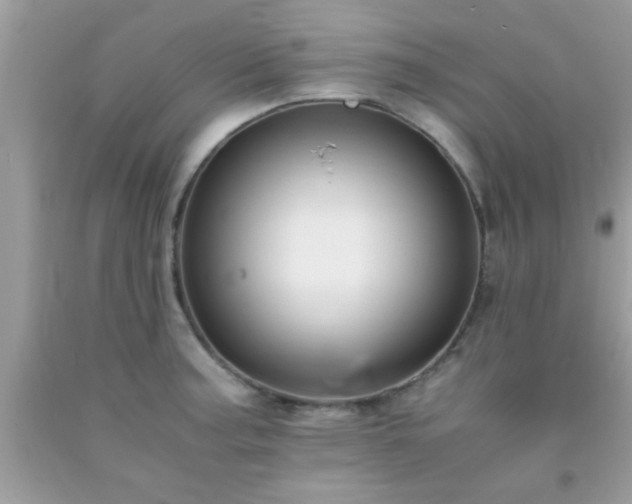 X0000093751187200710231226