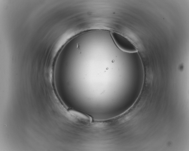 X0000093751188200710231226