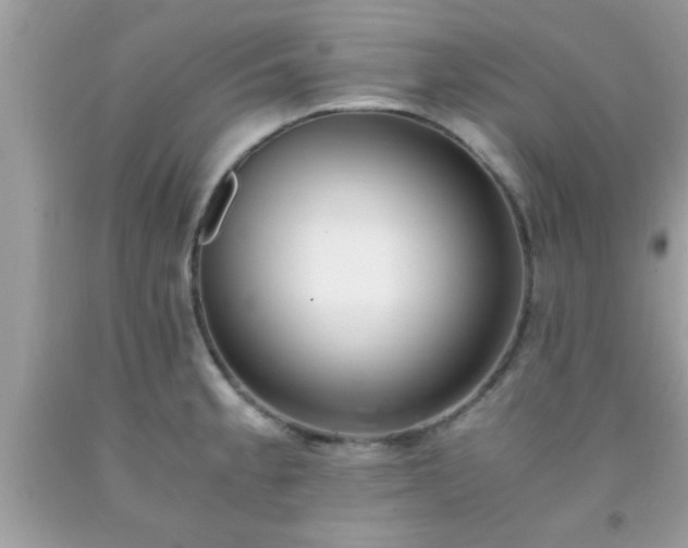 X0000093751189200710231226