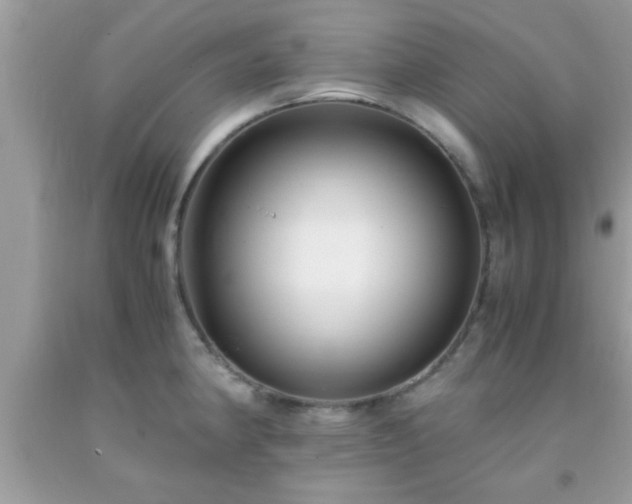 X0000093751190200710231226