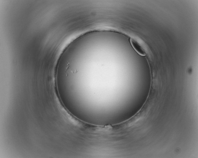 X0000093751191200710231226