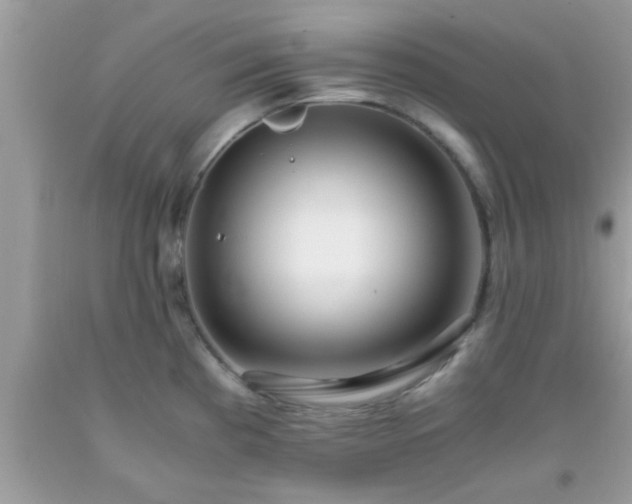 X0000093751193200710231226