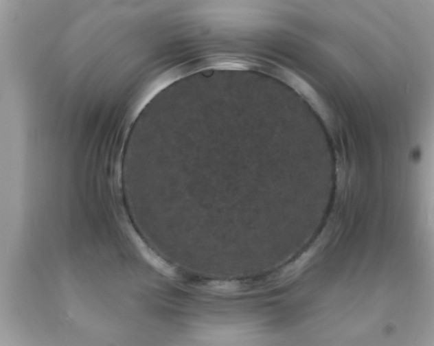 X0000093751194200710231226