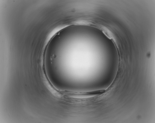 X0000093751195200710231226