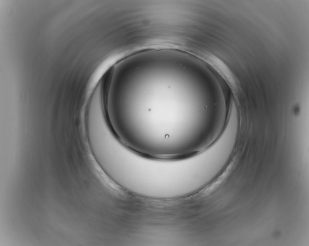 X0000093751196200710231226