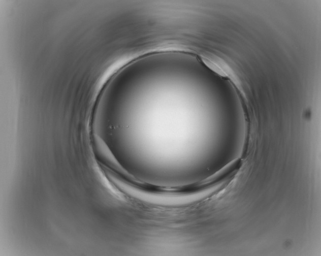 X0000093751197200710231226
