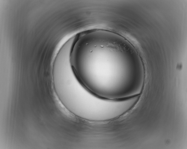 X0000093751200200710231226
