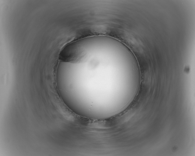 X0000093751201200710231225