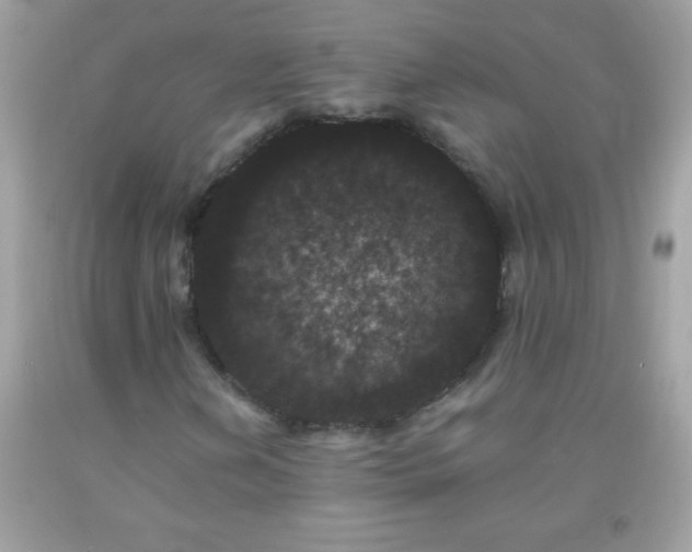 X0000093751202200710231225