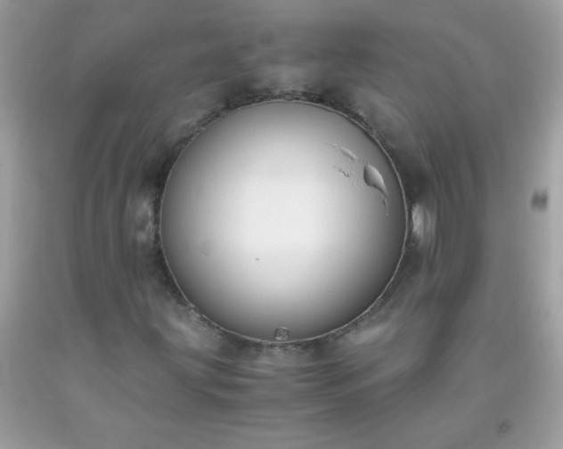 X0000093751203200710231225