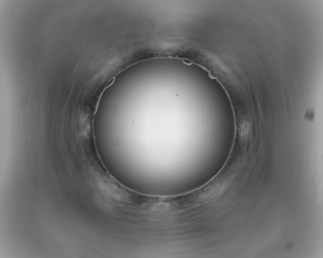 X0000093751204200710231225
