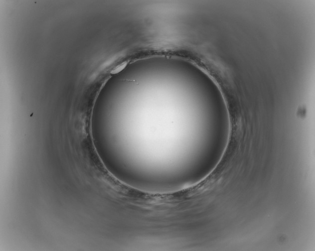 X0000093751205200710231225
