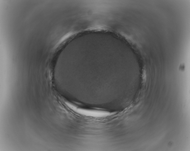 X0000093751206200710231225