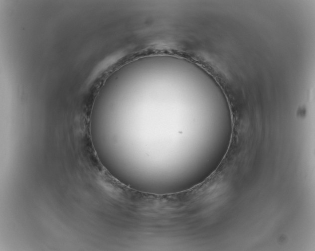 X0000093751207200710231225