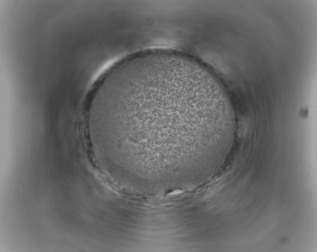 X0000093751208200710231225