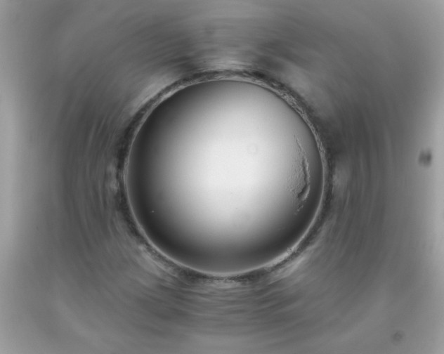 X0000093751209200710231225
