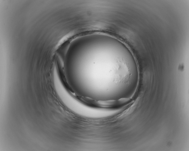 X0000093751210200710231225