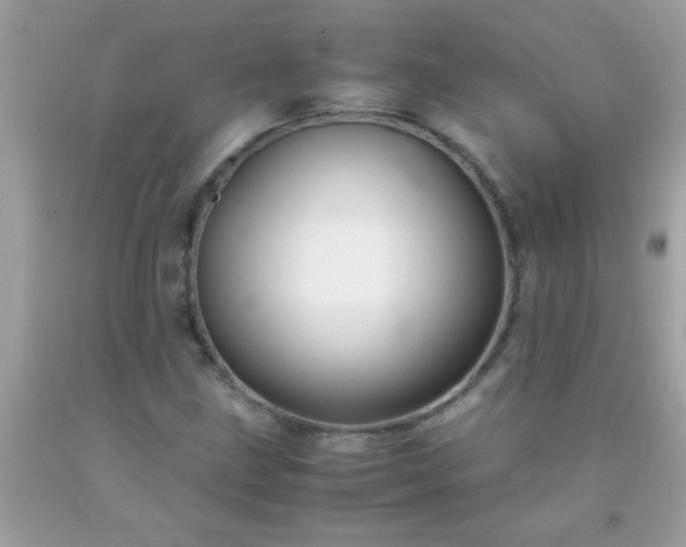 X0000093751211200710231225