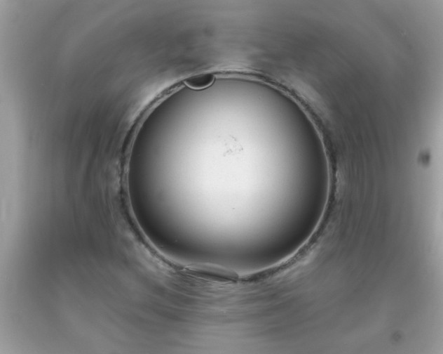 X0000093751212200710231225