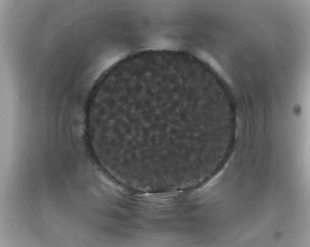 X0000093751213200710231225