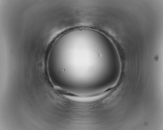 X0000093751214200710231225