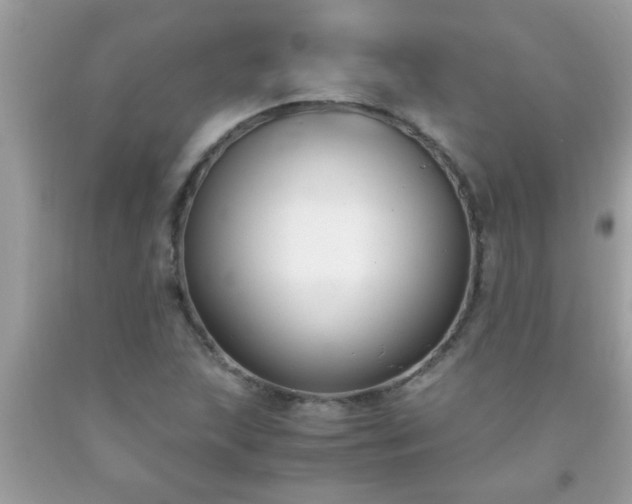 X0000093751215200710231225