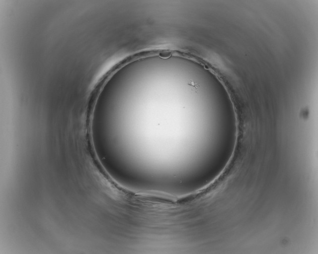X0000093751216200710231225