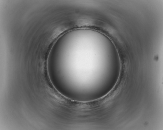 X0000093751217200710231225