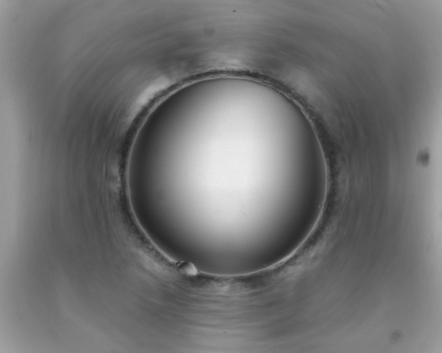 X0000093751218200710231225