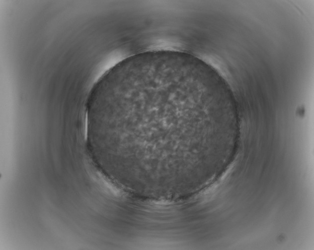 X0000093751219200710231225