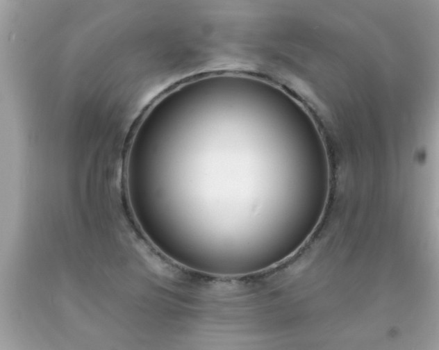 X0000093751220200710231225