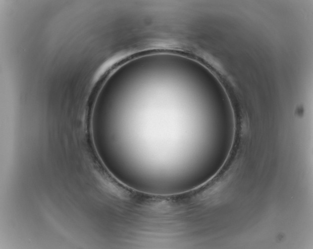X0000093751222200710231225