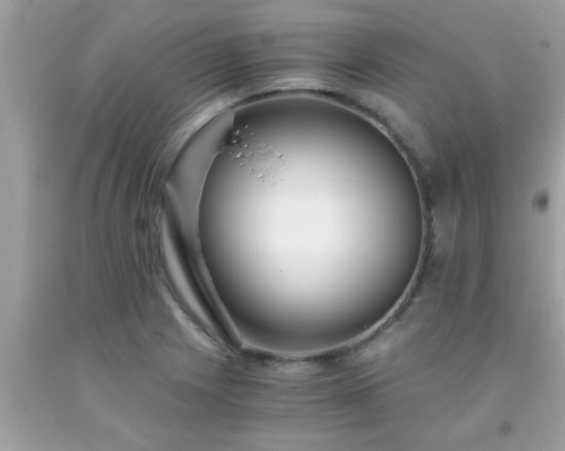 X0000093751225200710231225