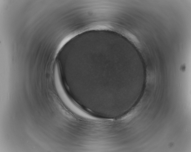 X0000093751226200710231225