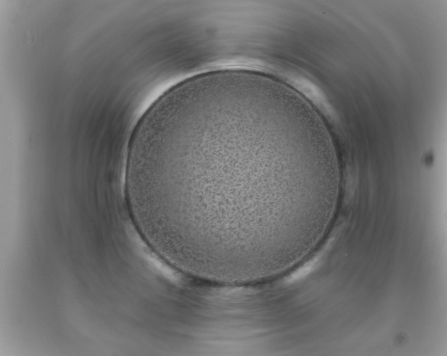 X0000093751228200710231225