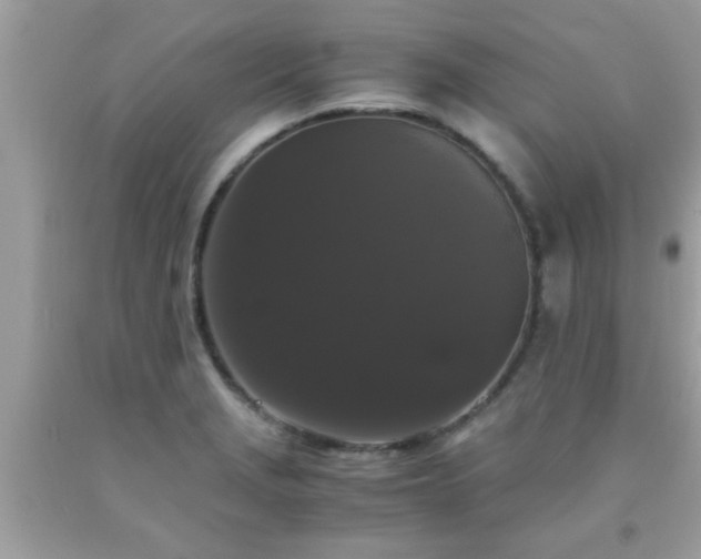 X0000093751229200710231225