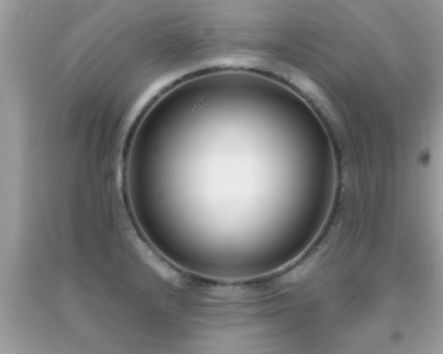 X0000093751232200710231225