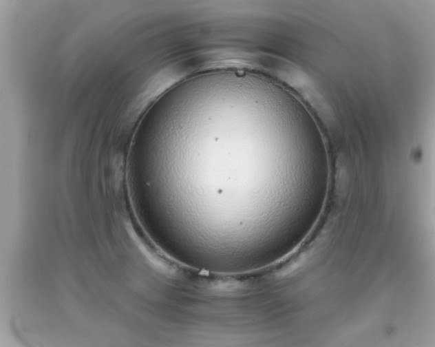 X0000093751233200710231225