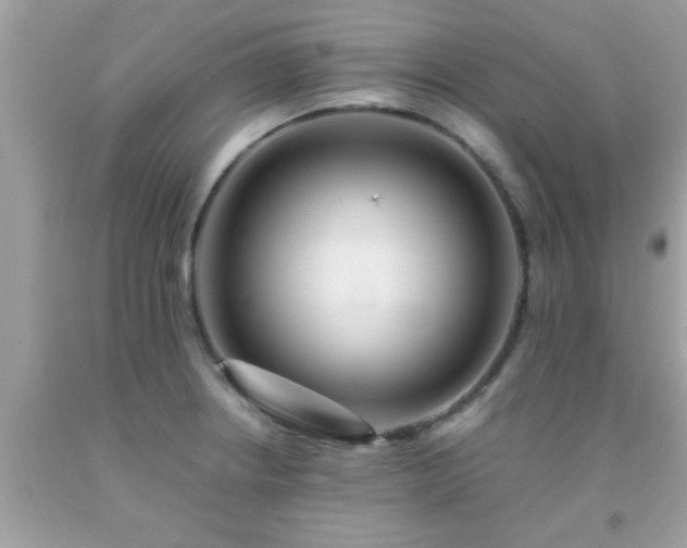 X0000093751234200710231225