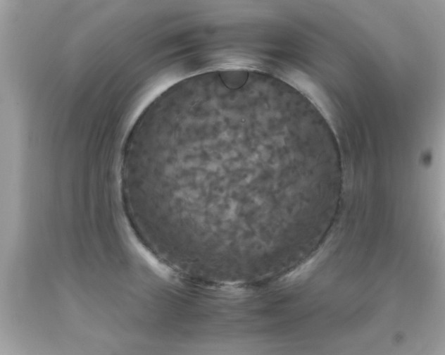 X0000093751235200710231225