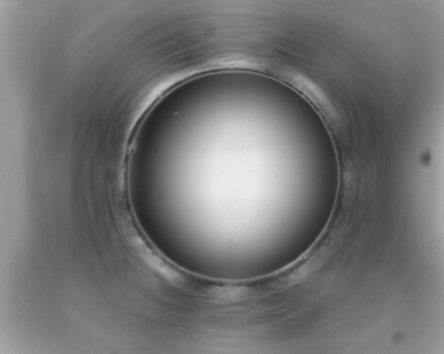 X0000093751236200710231225