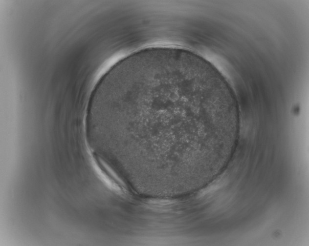 X0000093751237200710231225