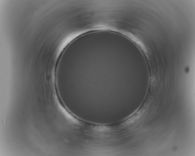 X0000093751239200710231225