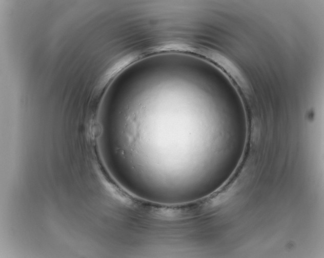 X0000093751241200710231225