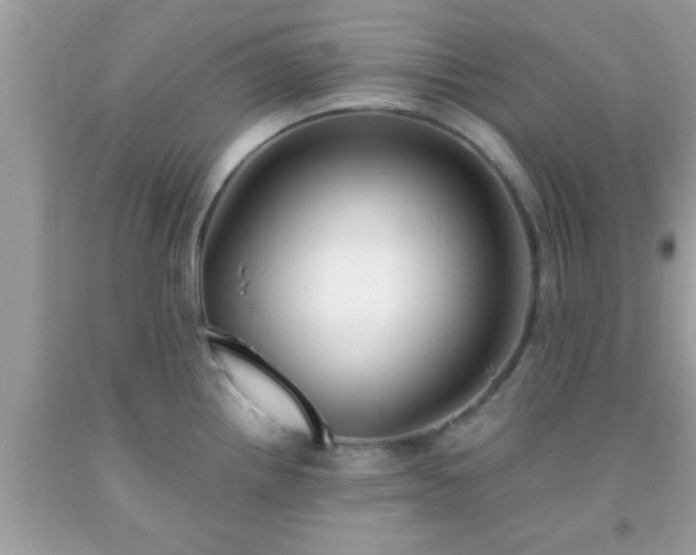X0000093751242200710231225