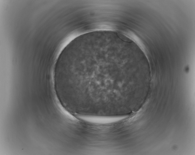 X0000093751243200710231225
