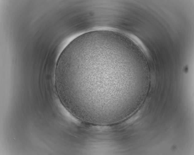 X0000093751244200710231225