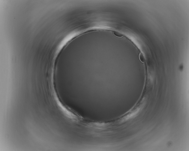 X0000093751245200710231225