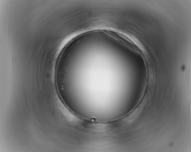 X0000093751246200710231226