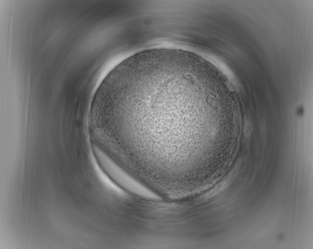 X0000093751247200710231226